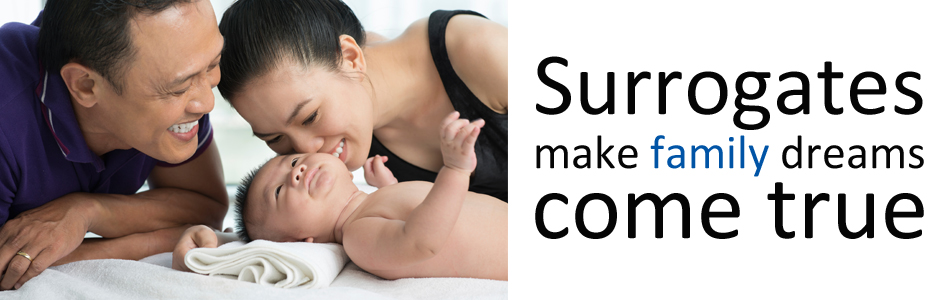 becoming a surrogate mother