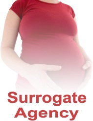 surrogacy agency