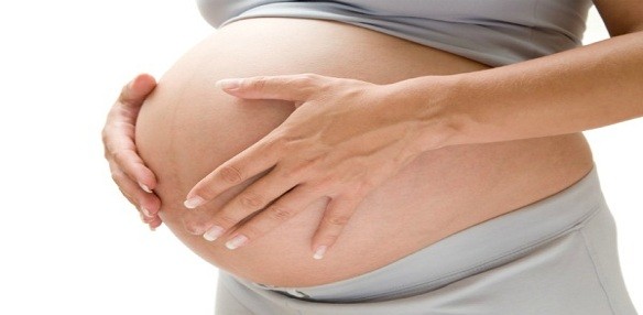 Rights of a Surrogate Mother