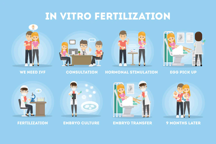 IVF process work in India