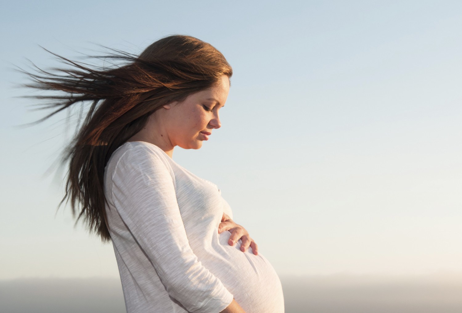 New York Legalizes The Gestational Surrogacy Procedure