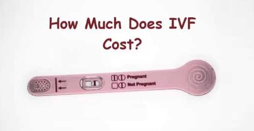 how much IVF cost in Delhi