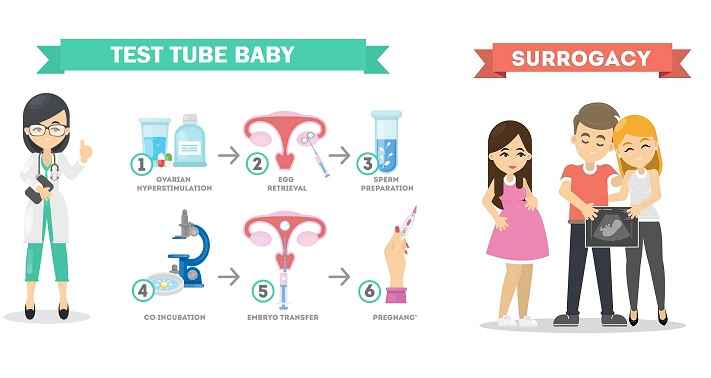 Difference Between Surrogacy And Test Tube Baby
