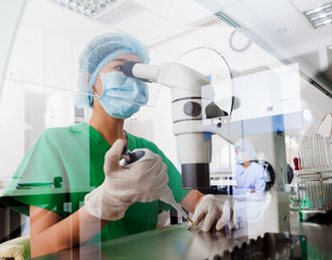 IVF cost in Iran for couples