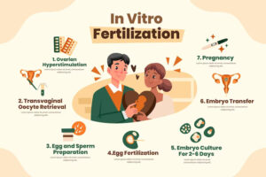 ivf cost in india