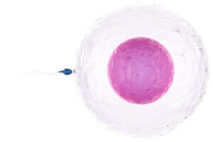 IVF Treatment in Singapore