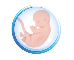Natural IVF In India