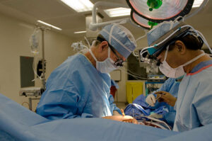 Surrogacy hospital in Cyprus