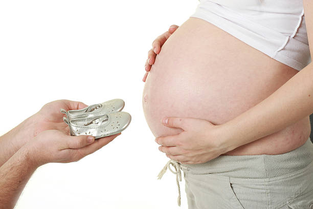 surrogacy cost in new zealand