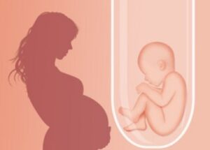 Test Tube Baby Treatment Procedure