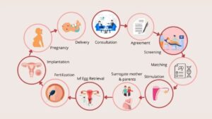 Surrogacy Steps In Goa