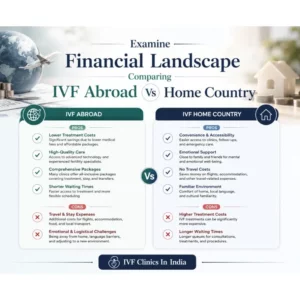 Examine Financial Lnadscape Comparing IVF Abroad Vs Home Country